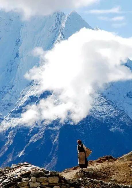 高原秘境，西藏🏔️🌿之旅